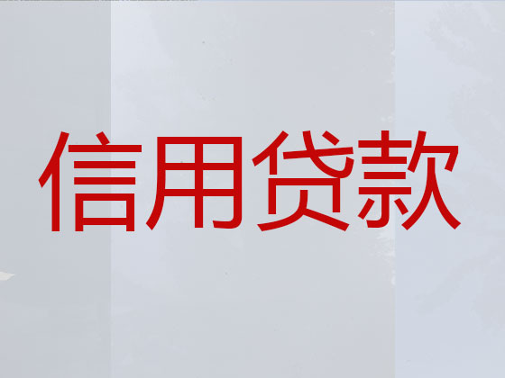 海阳市贷款公司-银行信用贷款